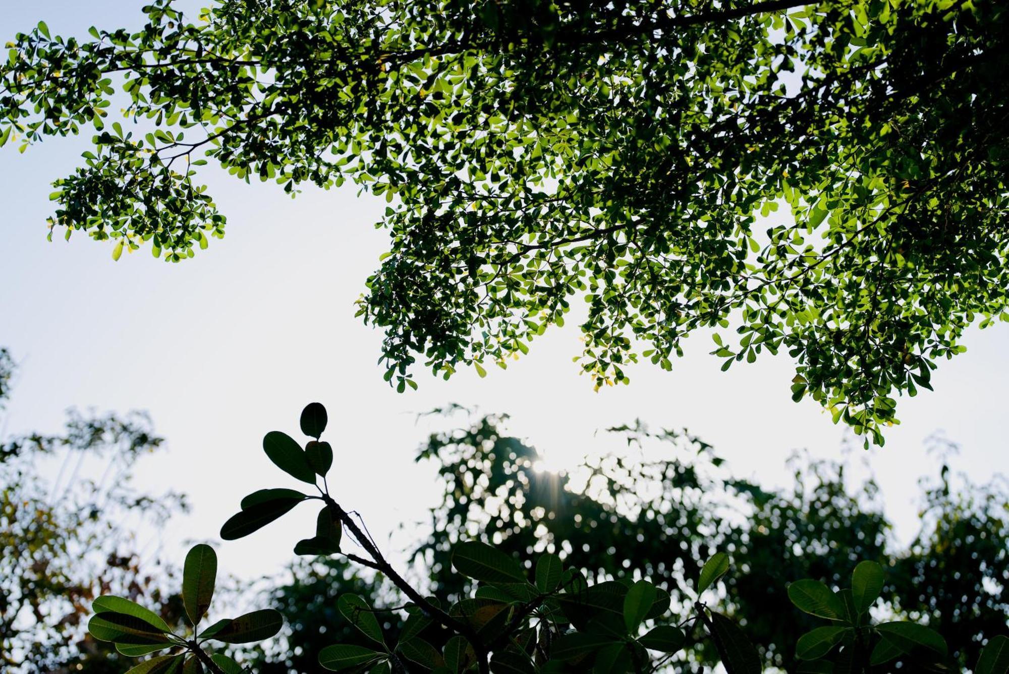 Angkor Elysium 4* Siem Reap